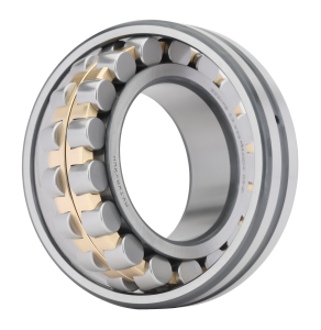 Double Row Cylindrical Roller Bearings