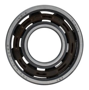 Hybrid bearings