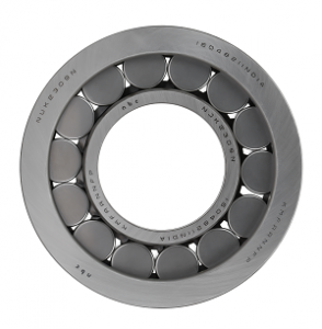 Double Row Cylindrical Roller Bearings