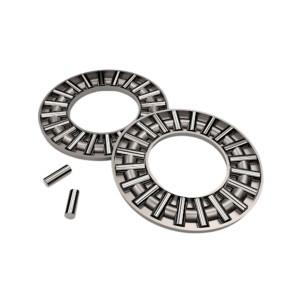 Thrust needle roller bearing