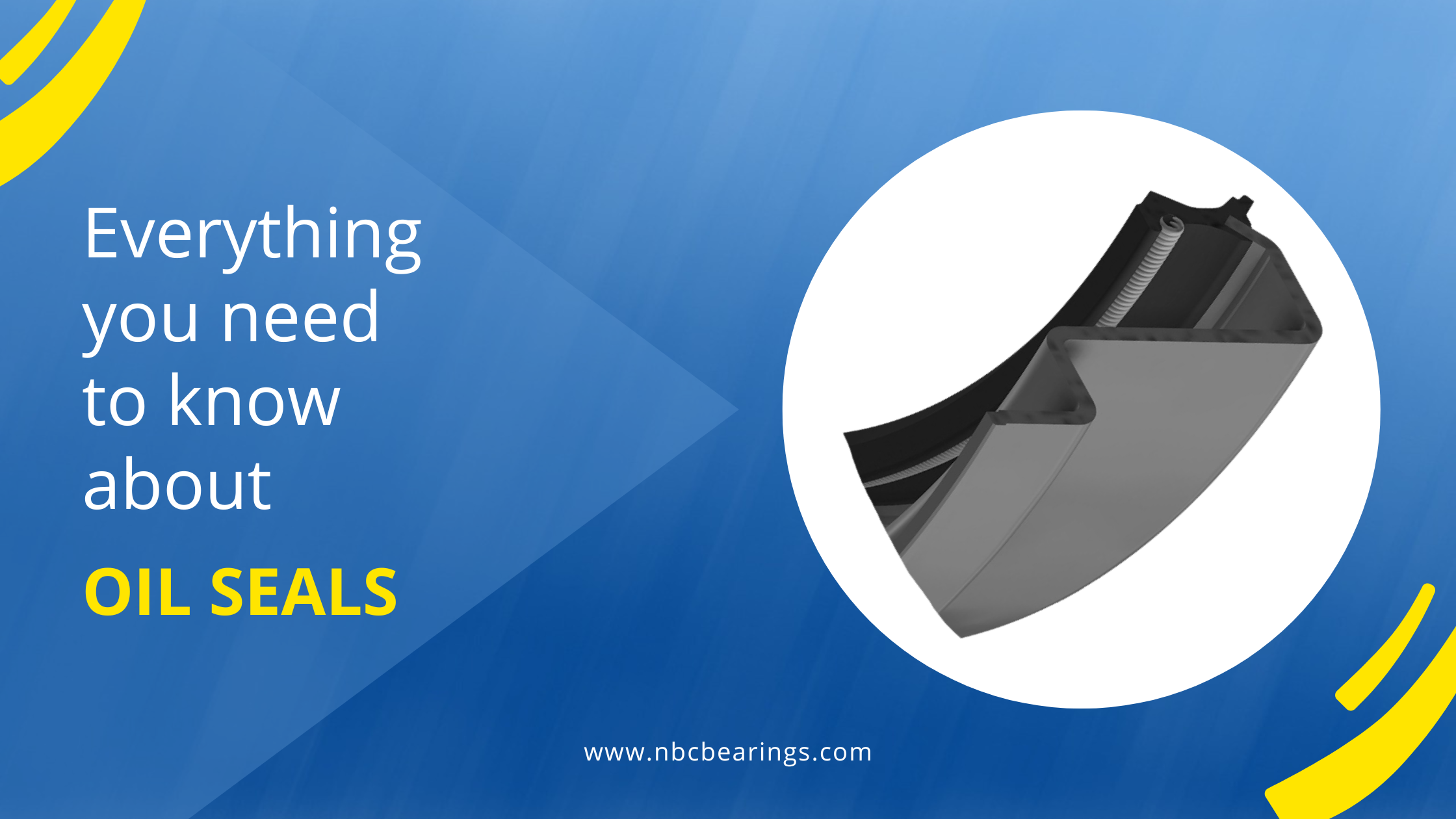 Oil Seals Everything you need to know about